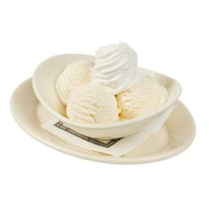 Bowl of Vanilla Ice Cream